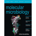 Molecular Microbiology. PMID: 18405343